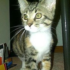 Meet your Posher, Melissa